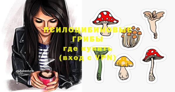 ешки Зеленодольск